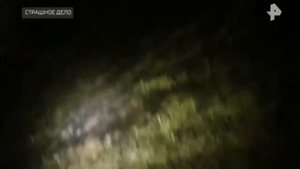 СТРАШНОЕ ДЕЛО  Козлы без Капусты 25 11 2017 HD