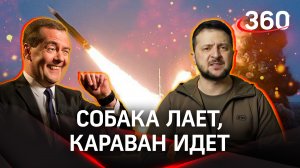 «Киевский пёс продолжает лаять»: контрнаступление Украины — уже началось или это выдумка?