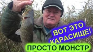 Огромный карась в сентябре 1,130 кг