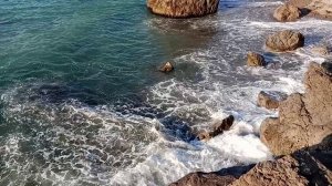 Новый Свет, август 2024😍🐬😍