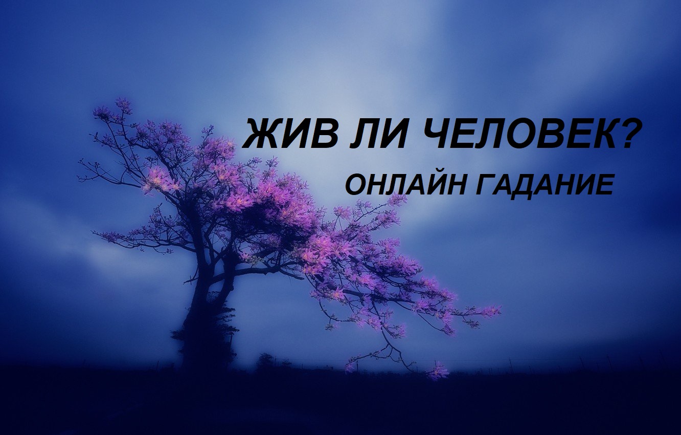 ✨ЖИВ ЛИ ЧЕЛОВЕК?? Онлайн гадание от #Инессазнает