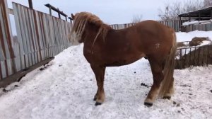 ПРОДАН Советский тяжеловоз Рэбит.