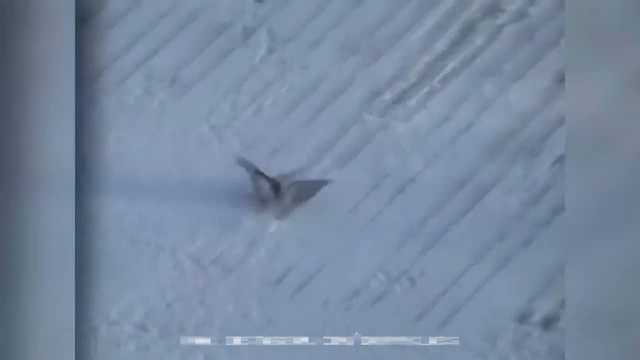 Смешные приколы. Придурки №2 смотреть онлайн