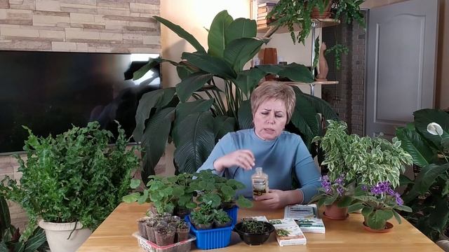 ЧЕРНАЯ НОЖКА, ПЛЕСЕНЬ И ДРУГИЕ БОЛЕЗНИ РАССАДЫ - КАК БОРОТЬСЯ? | Природа будущего смотреть онлайн