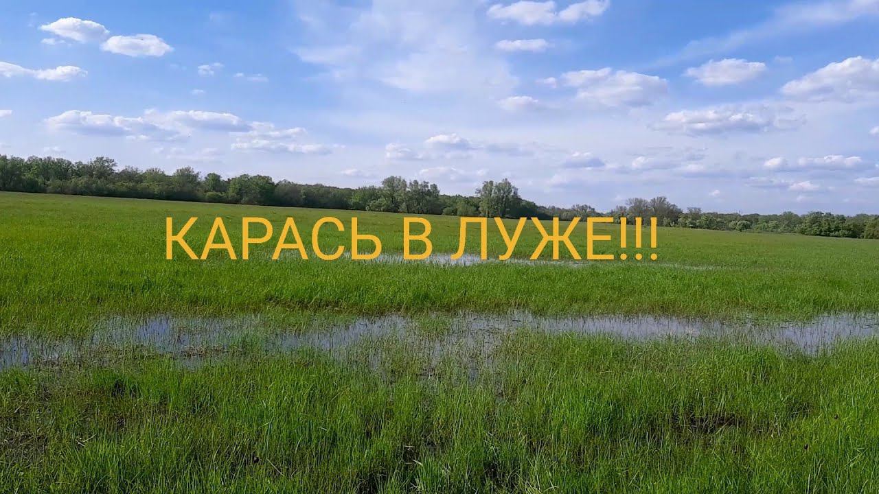 ЛОВЛЯ КАРАСЯ В ЛУЖЕ!!!!! смотреть онлайн