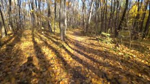 Белая Гора 2017 октябрь 2