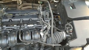 Стук мотора на прогретую форд фокус 3 1.6 105 л.с.