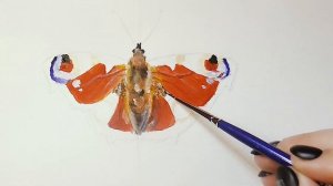 Бабочка Павлиний Глаз - Одна из Самых Красивых Бабочек! Рисуем Акрилом! Легко и Просто!
