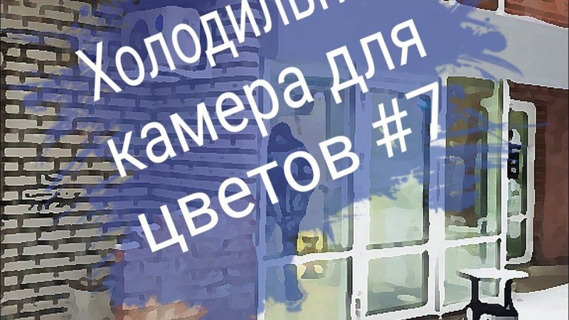 Холодильная камера для цветов №3 - Фриз-Холод