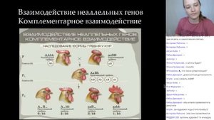 Генетика. Теория 1 часть