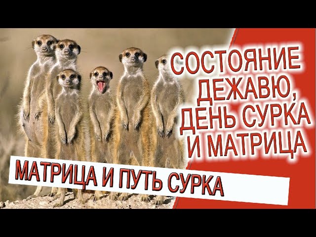 Состояние Дежавю, день сурка и Матрица бессознательности!