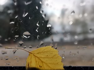 ОСЕННИЙ РОМАНС.mp4