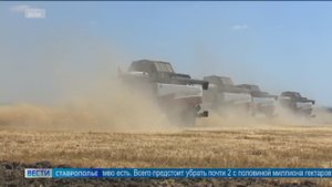 Ставрополье готово к уборке пшеницы