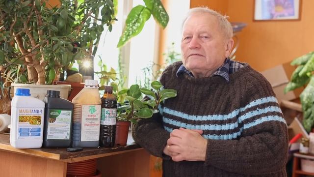 Как правильно применять гуматы и аминокислоты вместе для усиления иммунитета растений в саду. смотреть онлайн