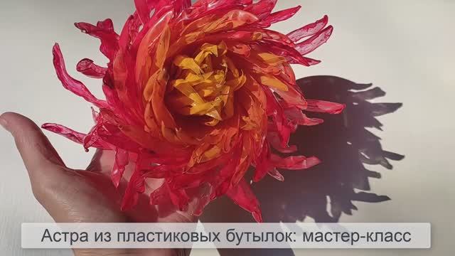 Астра из пластиковых бутылок: мастер класс как сделать цветок из пластиковых бутылок пошагово