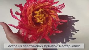Астра из пластиковых бутылок: мастер класс как сделать цветок из пластиковых бутылок пошагово