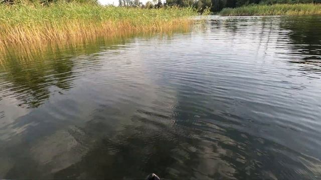 За щукой из Валдая в Ужин