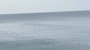 Лдзаа Пицунда  Мюссерского заповедника