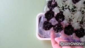 Стратификация лаванды. Разные способы стратификации семян лаванды