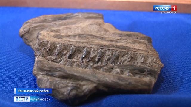 Геопарк "Ундория" теперь встречает своих гостей информационными стендами смотреть онлайн