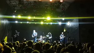 Александр Пушной Видели ночь