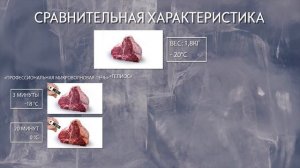 СВЧ дефростер Гелиос - быстрая разморозка мяса, рыбы или фруктов без потерь за 3 минуты