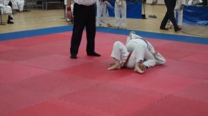 Джиу-Джитсу