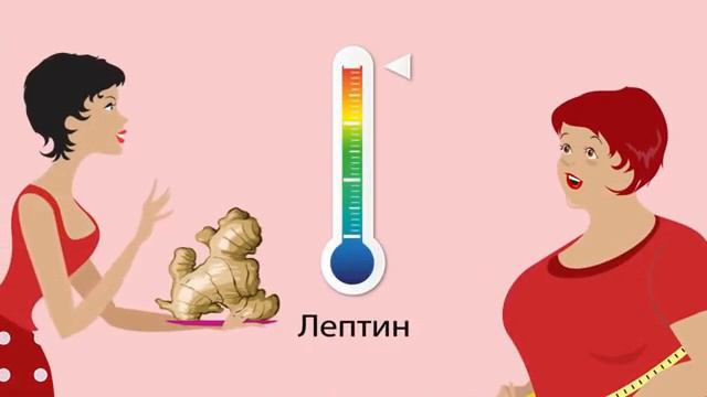 14 продуктов, чтобы контролировать голод и быстро похудеть