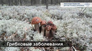 Грибок ногтей и стопы. Другая психосоматика