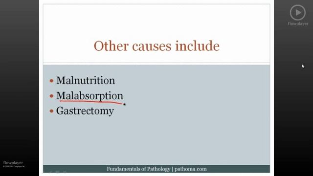 Pathoma USMLE - V ГЛАВА - 2.Микроцитарная анемия 1/2