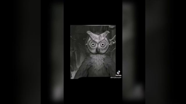 Приколы по Tiny Bunny (Зайчик) из TikTok №4 смотреть онлайн