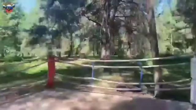 ФОК «Полет» смотреть онлайн