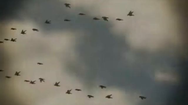 "MASTER-класс" от 11.09.12 смотреть онлайн