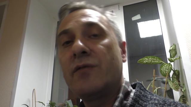 Превышение Задержание Суд и Победа по 19.3 смотреть онлайн