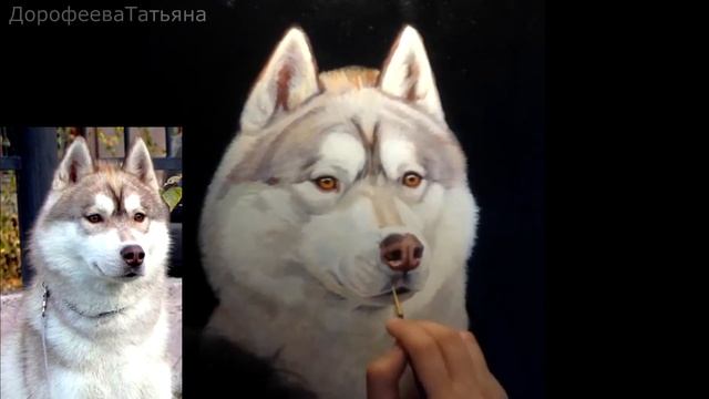 Рисую портрет хаски. Холст\акрил,масло, II ЧАСТЬ смотреть онлайн