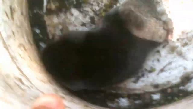 Поймал крота в банку. Часть 3. смотреть онлайн