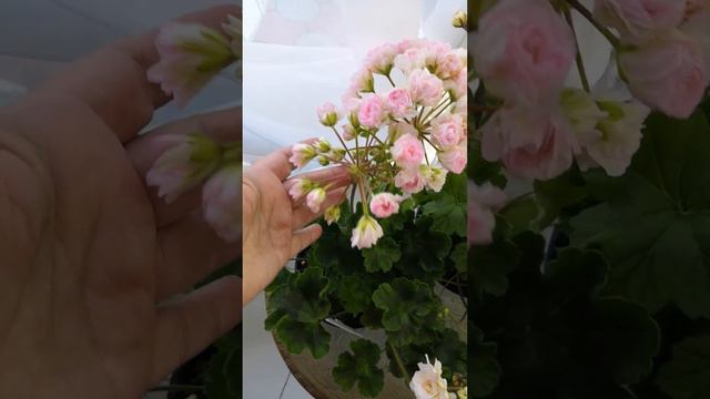 22 марта 2023 г. смотреть онлайн