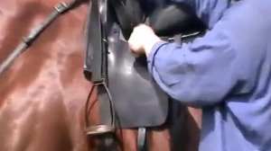 Затягивание подпруг Пригонка стремян Длина путлищ и арчаковой связки на Казачьем и Черкесском седле