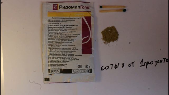 РИДОМИЛ ГОЛД смотреть онлайн