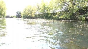 ПОСЛЕДНИЙ ДЕНЬ ЛЕТА| ДО ОБЕДА| ЧИСТЫЕ ВОДЫ РЕКИ СТАНОВАЯ РЯСА