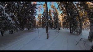 Прогулки на снегоходах в Ленинградской области