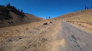 Ужасные дороги Бутана, бутанская кухня, бутанские дети, журавли из Красной книги,  монастырь и як