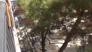 клуб фестиваль отель movie