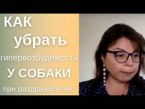 Как убрать возбудимость у собаки при встрече с собаками, кошками#дрессировкасобаки