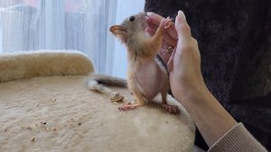 Молли недотрога и ооочень не любит камеру!!! ?