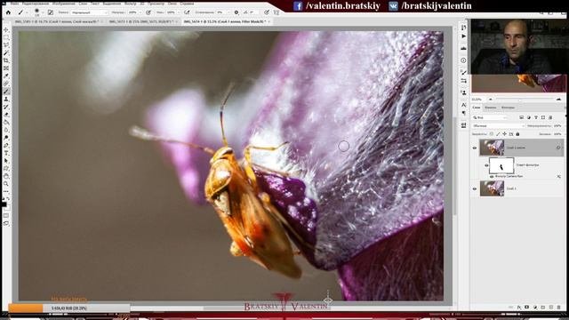 Обработка макро фотографии