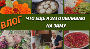 Влог /Что еще я заготавливаю на зиму