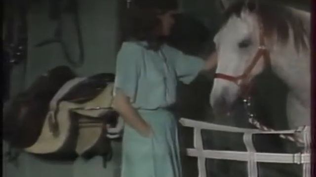 Санта-Барбара 448 серия смотреть онлайн