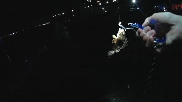 ?Рокфишинг вечером на пляже в Анапе. Скорпены и барабуля. Ловля на спиннинг смотреть онлайн