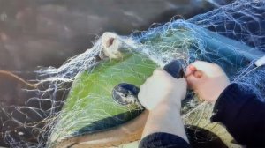 рыбалка сеткой на щуку весной.mp4